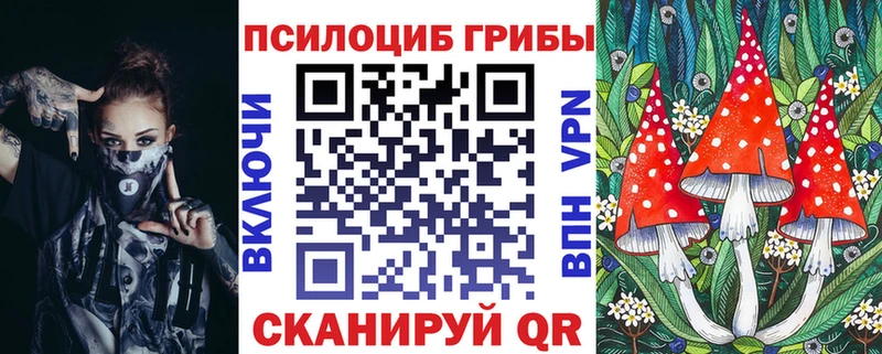 купить   блэк спрут онион  Псилоцибиновые грибы Psilocybine cubensis  Майский 